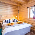Sojka 4*