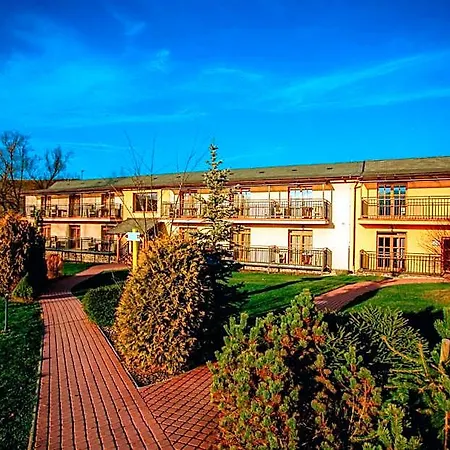 Sojka